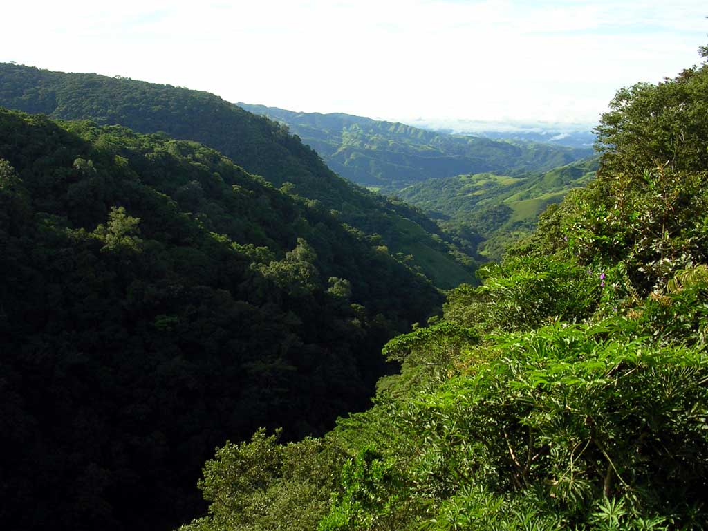 Monteverde05.jpg